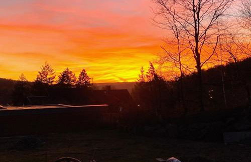 Junkerath Romantic Garden Stay - Foto 34