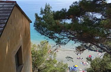 L' eden di Erasmo - Foto 9