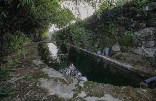 Bosque da Fantasia - Foto 54