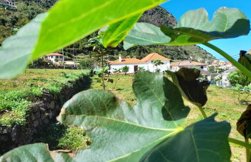 Casa do Bago - Foto 8