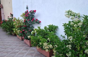 Afroditi's 2 - Photo 18