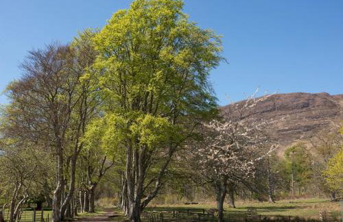 2 Bed in Applecross CA422 - Foto 21