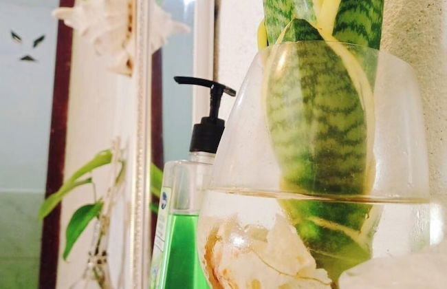 Amwani Sunset Colours Camping Site - Foto 23