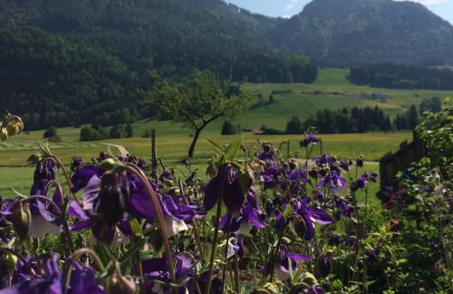 Schifterhof Ruhpolding - Foto 13