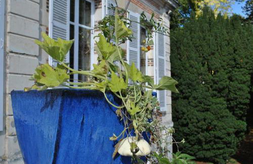 Eco-gîte - Domaine de La Gavolerie - Photo 17