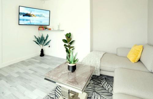 Stunning Lux 3 Bedroom home Priv Parking in Birmingham - Photo 5