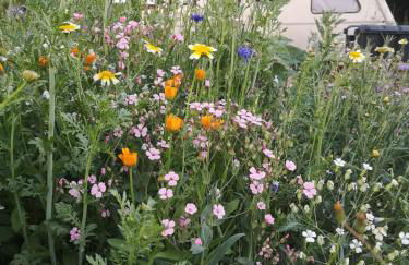 Haus Sohl am Rothaarsteig - Photo 39