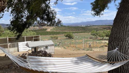 Temecula Rejuvenation - Foto 4