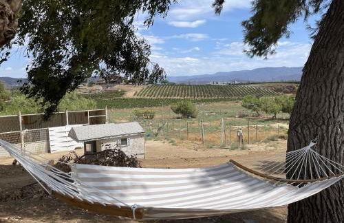 Temecula Rejuvenation - Foto 4