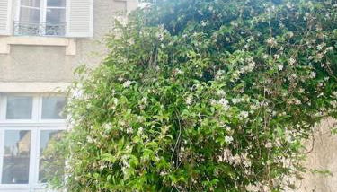 Au cœur de Bourges - Foto 3