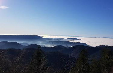 Ferienwohnung "Hirschlein" im Schwarzwald - Foto 44