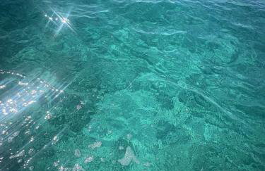 Apartman Lun - Foto 3