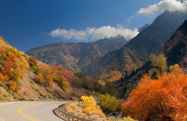 1 BR Apartment in Historic District - Foto 15