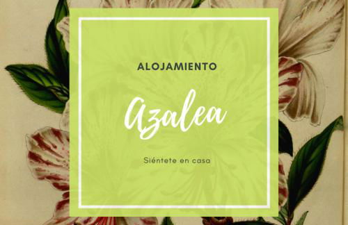 Ático Azalea - Corazón del Carmen, doble balcon, wifi - Foto 21