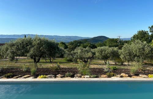 Mas de la canopée-Luberon - Foto 14