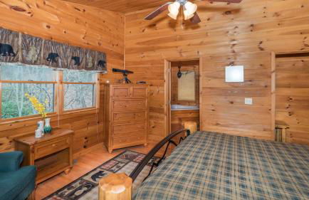 Red Apple Mountaintop cabin hot tub, WiFi, Pet friendly, Fireplace, pit, BEST VIEWS - Foto 9