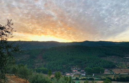 Quinta da Penada - Vineyard & Winery - Suíte 3 - Foto 12