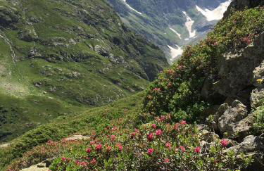 MaisonNel Gîte - Foto 28