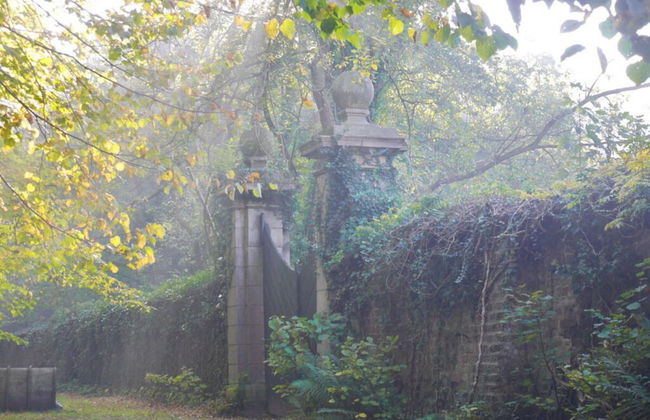 Orangery Berum Modern Retreat - Foto 36