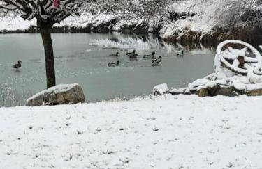 Lakeside Retreat with Hot Tub & Game Room home - Foto 59