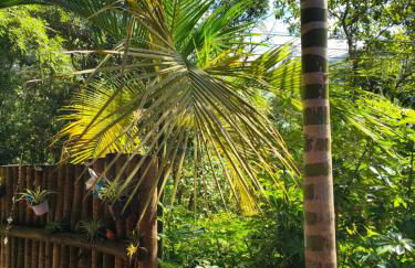 Chalé 1 Alto na Montanha, com lareira e wi-fi - Foto 51