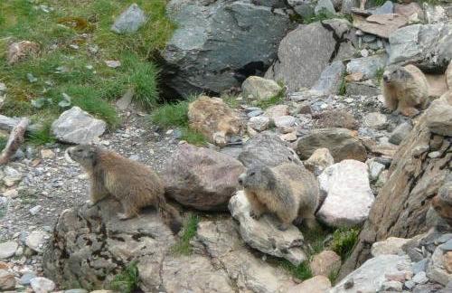 Appartement RDC maison de village - Foto 14