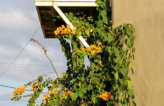 Elpis Studio Apartments - Foto 59