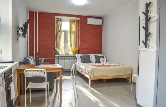 Norke Novoryazanskaya - Photo 8