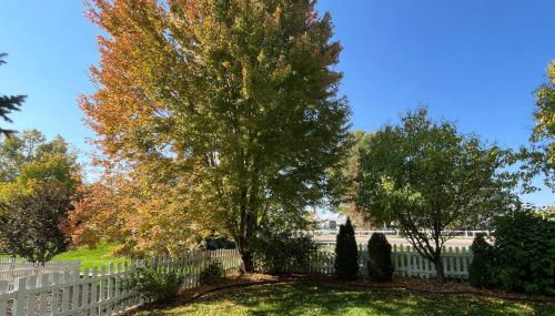 Fabulous Family-friendly Retreat by Windsor Lake! - Foto 5