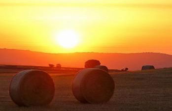 Ulivo Apartment - Foto 39