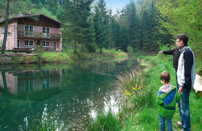 Apartment in Alsace With Nature Retreat - Foto 17