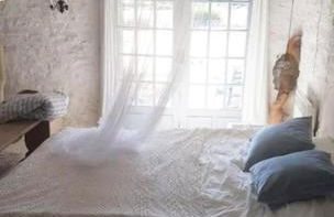 La vie calme - Foto 7