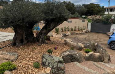 La petite maison Corse - Foto 10