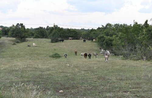 Great place for relaxation - Foto 27