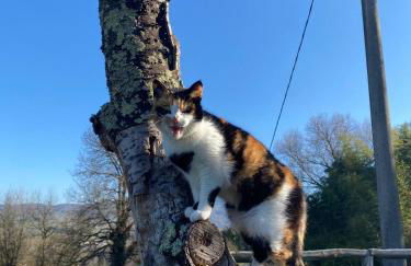 Agriturismo Tenute di Hera - Via Francigena - Foto 25