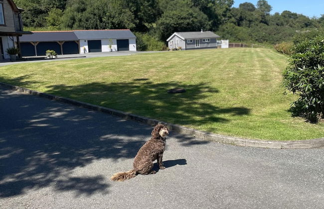 Private Chalet in New Quay With Stunning Views - Photo 33