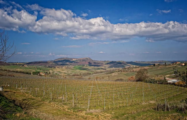 Peaceful Villa Stay in Tuscany - Foto 30