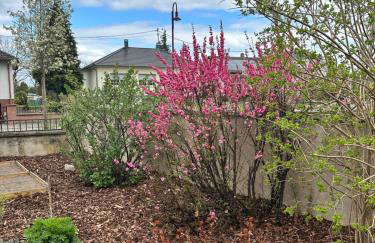 Grand appartement au cœur de la région alsacienne - Photo 10