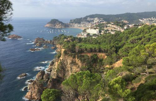 Bertur Cala Llevado - Foto 44