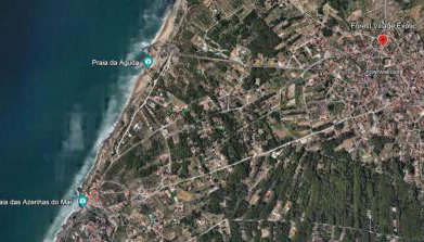 Forest Village Exótic - Foto 4