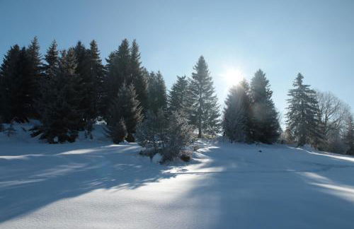 Au Coeur de Prémanon - Foto 24