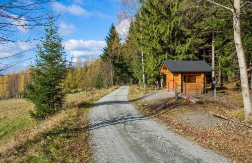 Erzgebirgsidyll Breitenbrunn Ferienwohnung - Foto 55