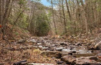 Loft Wood Stove Fire Pit Grill & Deck on Creek - Foto 46