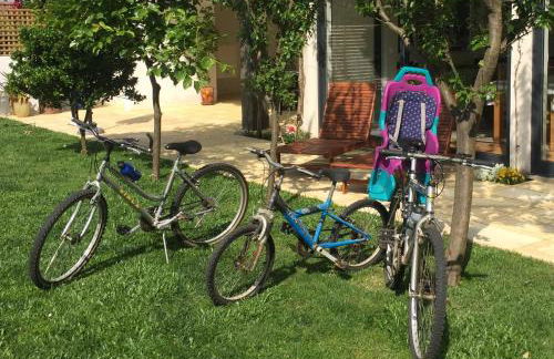 Casa da Tapada - Grupo Casas Vale do Lima - Photo 19