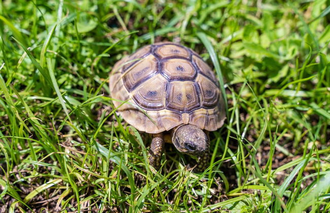 Apartment Marieta - Foto 35