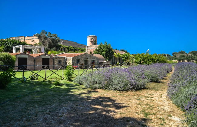 Naturalis Bio Resort & Spa - Foto 58