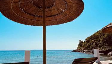 Domaine U Pozzu - Foto 3