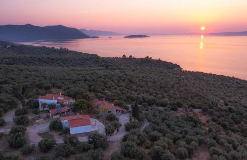 SIX INDEPENDENT HOUSES BY THE sea - Foto 1