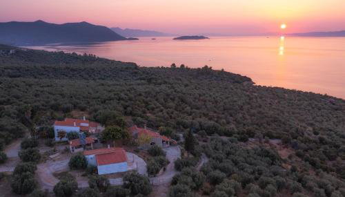 SIX INDEPENDENT HOUSES BY THE sea - Foto 1