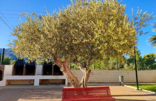 Au petit bonheur - Foto 23